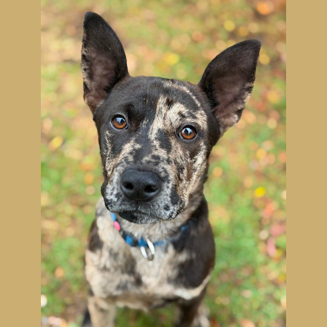 Photo of Hattie
