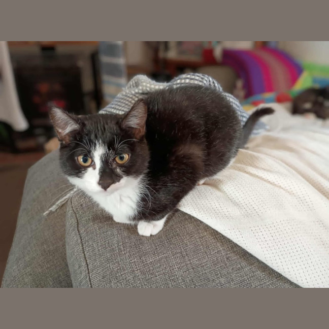 Photo of Mrs Pickles