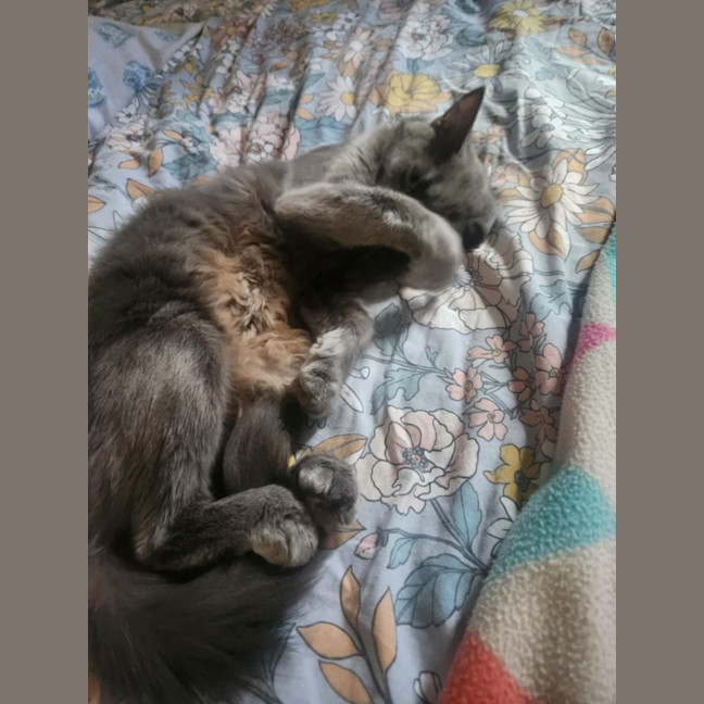 Photo of Esme