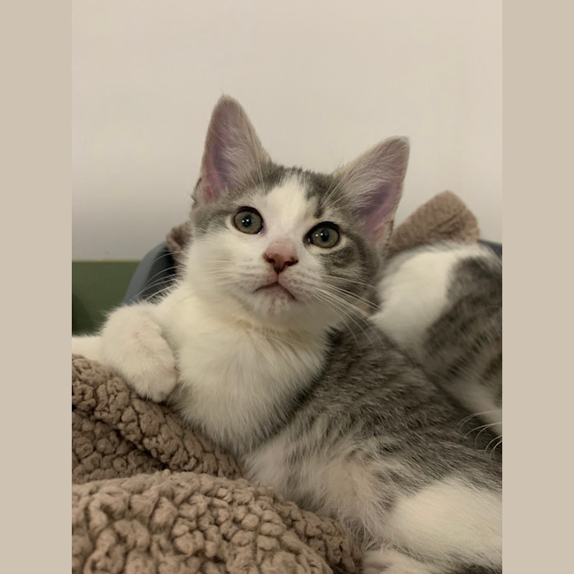 Photo of Wendy Darling