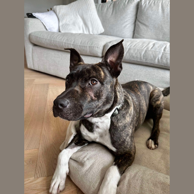 Photo of Fred