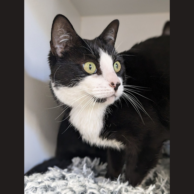 Photo of 💕 Yin 5660 💕