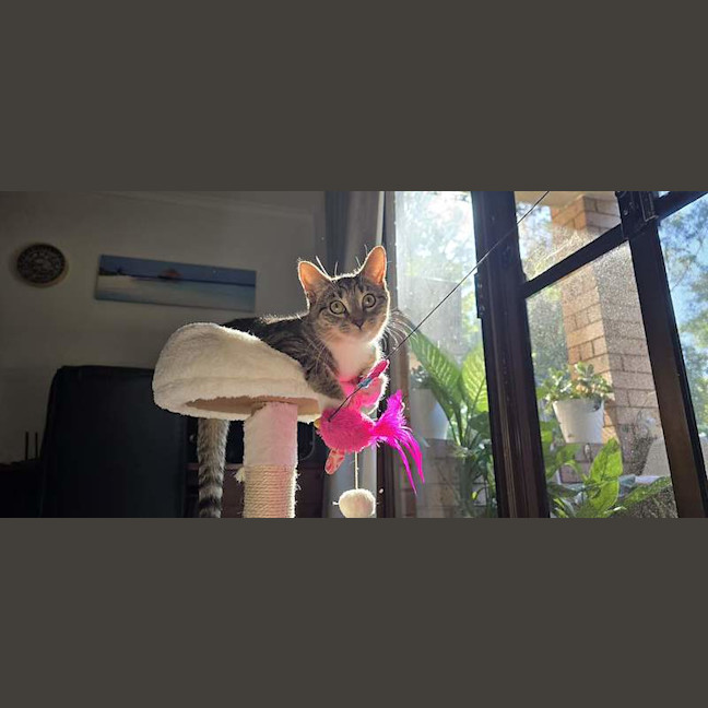 Photo of Hazel