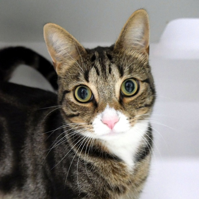 Photo of Gidget Sua014674