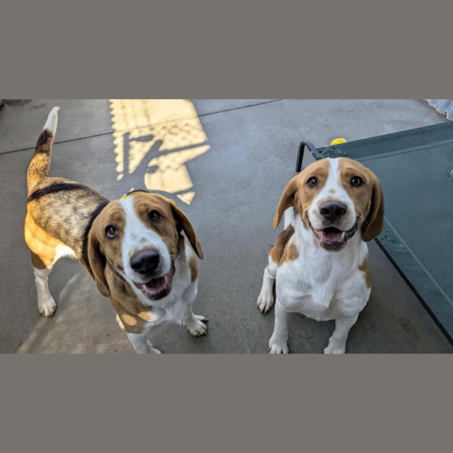 Photo of Bugel & Bailey