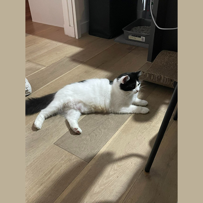 Photo of Bobbi