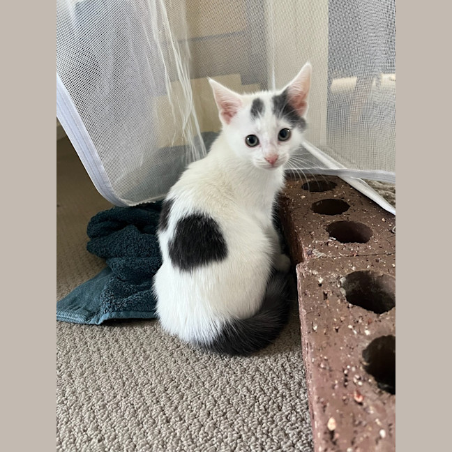 Photo of Mellie Baby