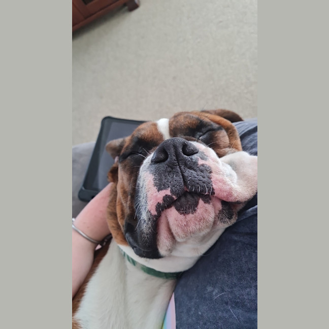 Photo of Waffles And Maple