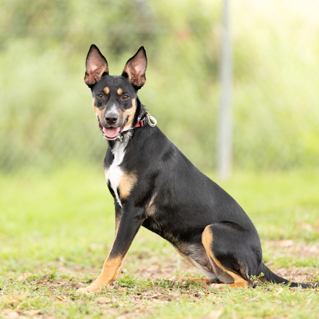Photo of Delilah