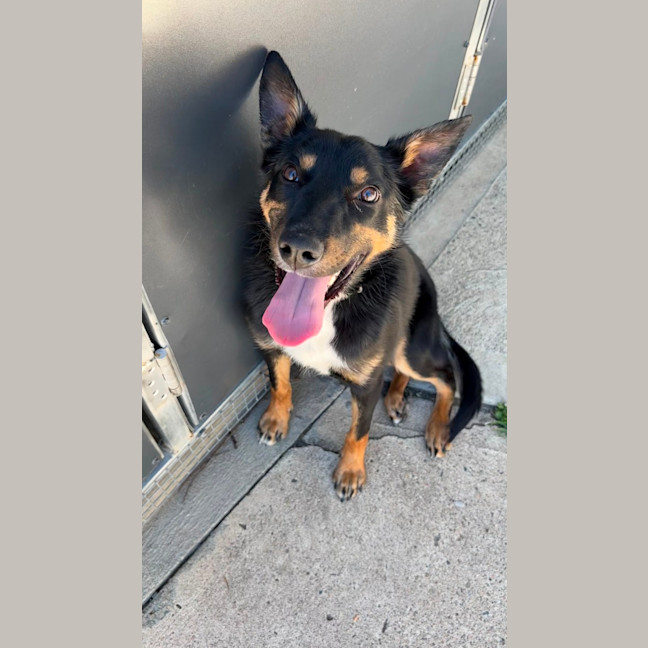 Photo of Goober