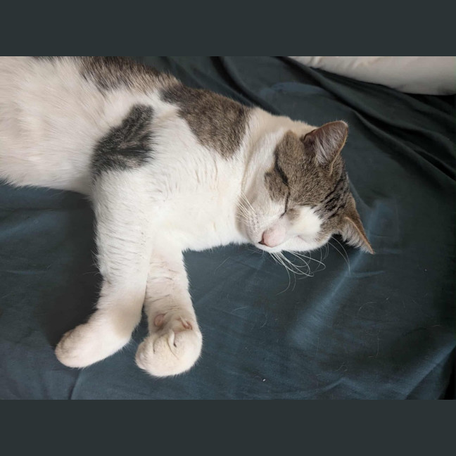 Photo of Pat