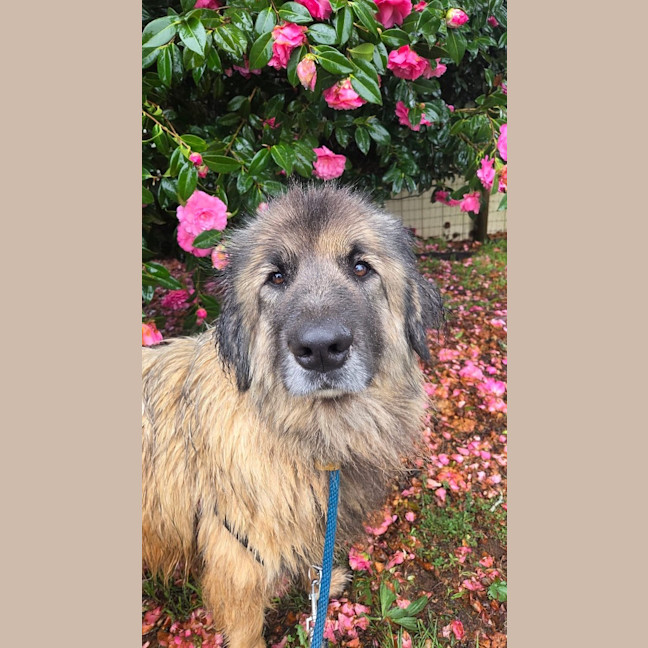 Photo of Hercules