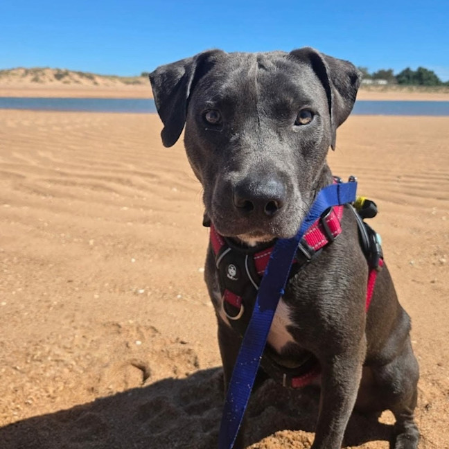 Photo of Bumble
