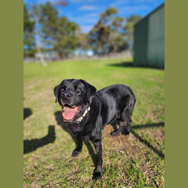 Photo of 🧀 Hugo 6240 🧀