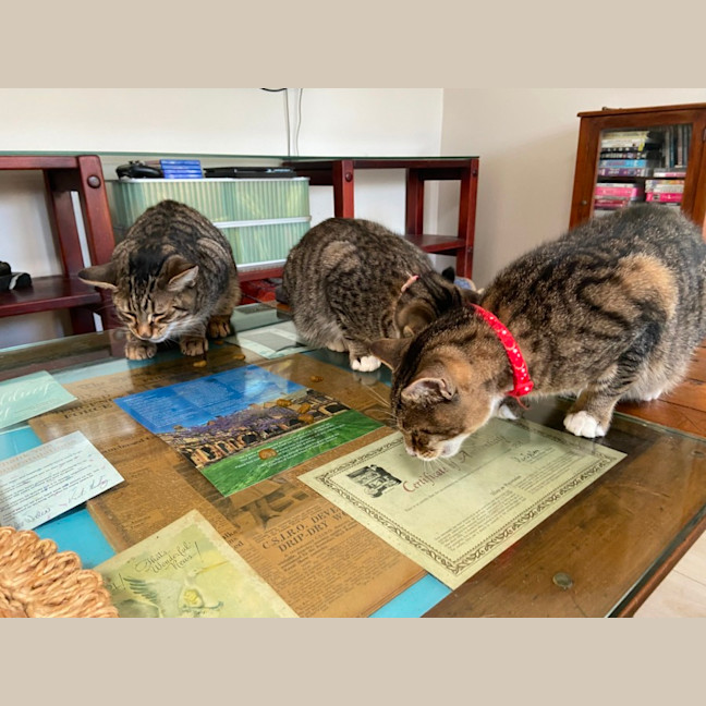 Photo of Ron (Weasley) Of Harry Potter Fame