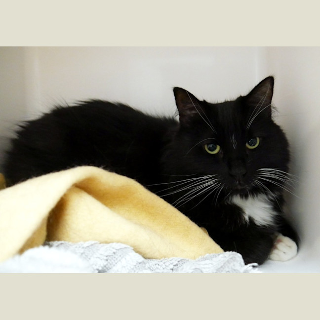 Photo of Sushi Sua014686