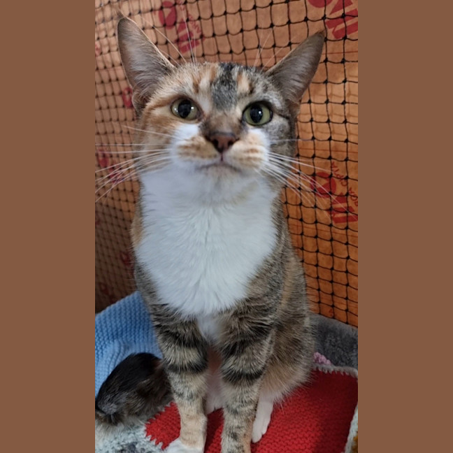 Photo of Mimi