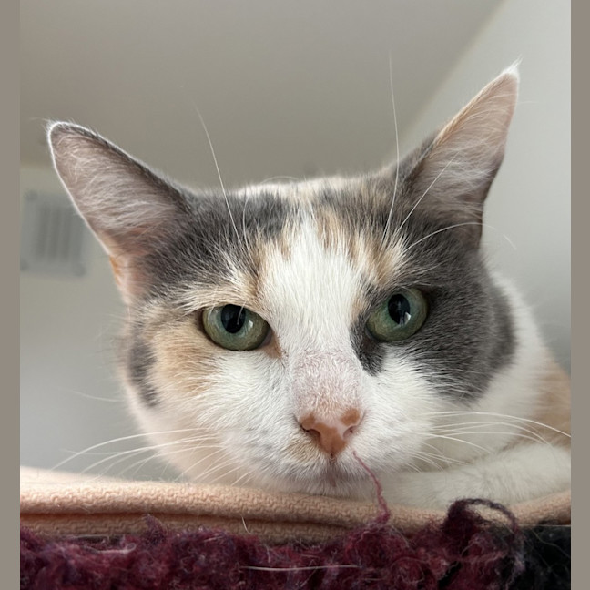 Photo of Elinor