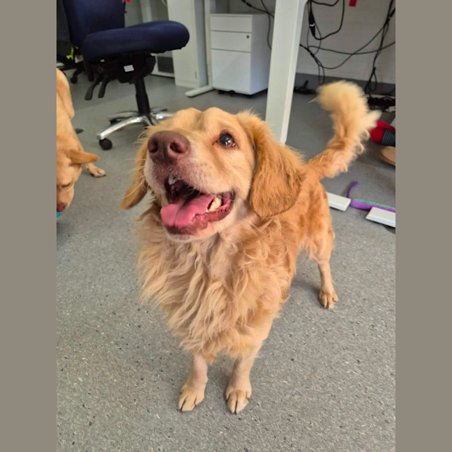 Photo of Fonzie! 💃