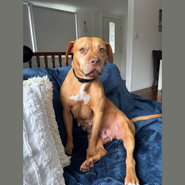 Photo of Nelly