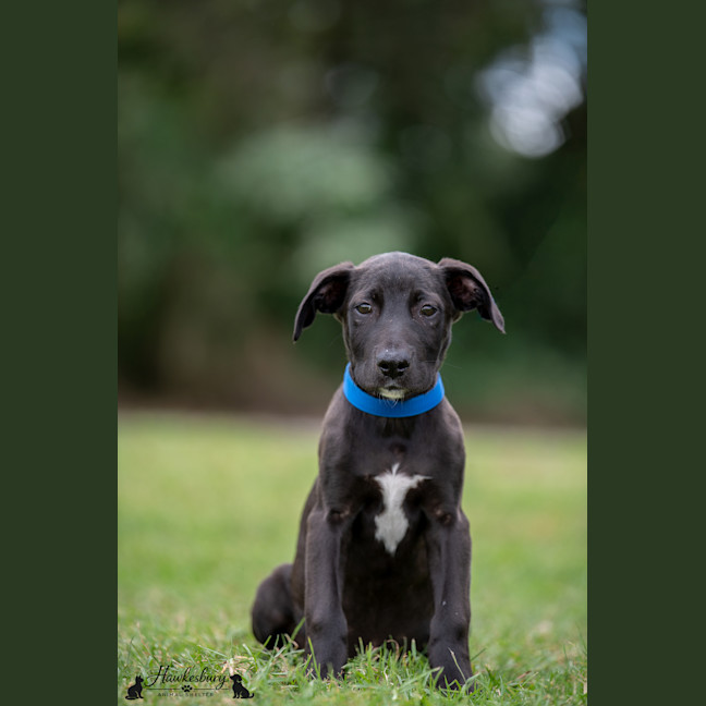 Photo of Abbey