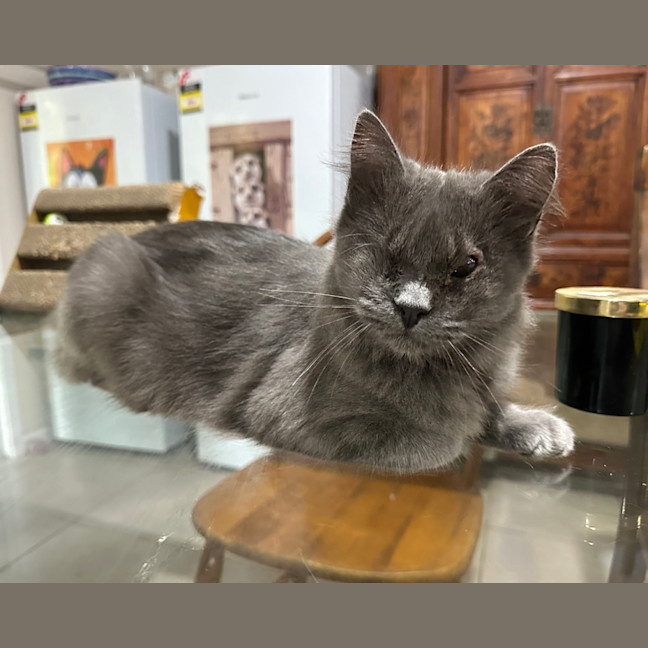 Photo of Winky