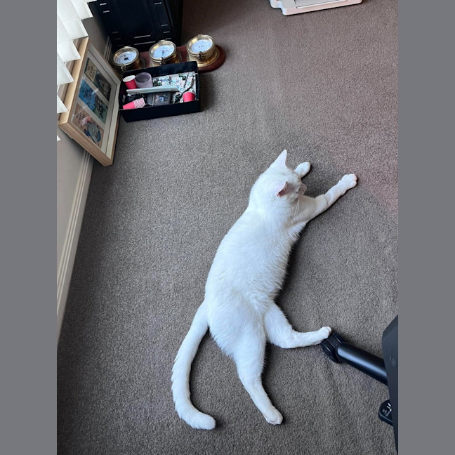 Photo of Ice