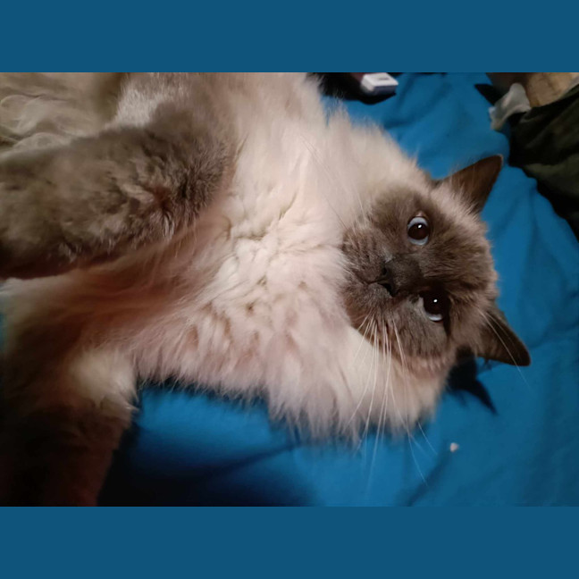 Photo of Theo