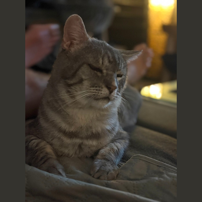 Photo of Bobby