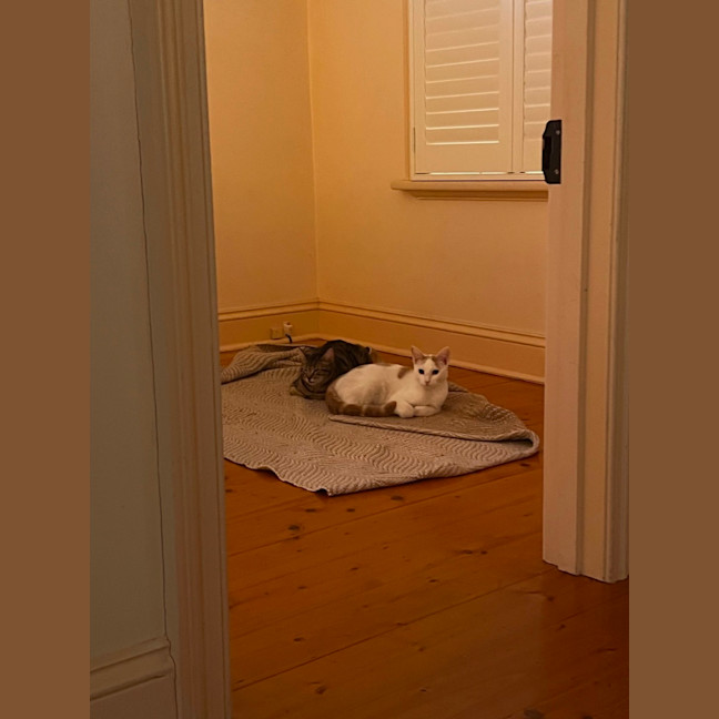 Photo of Russ ( Lazerus )