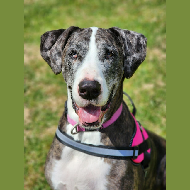 Photo of 🎭 Wednesday 6534 🎭