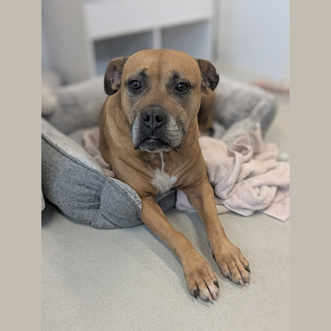 Photo of 💅 Lexi 6188 💅