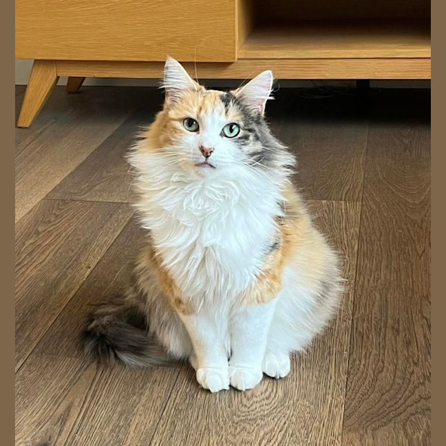 Photo of Trudi 