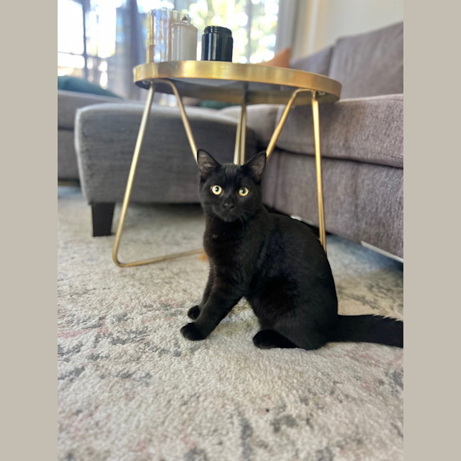 Photo of Kevin And Shadow