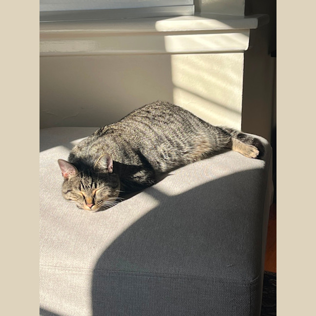 Photo of Lala