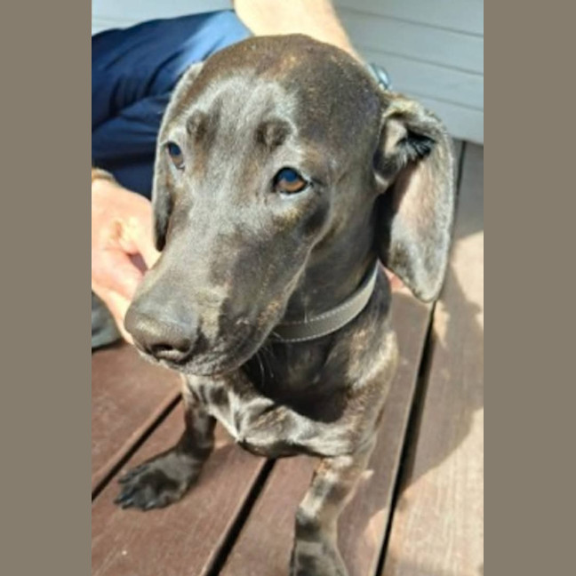 Photo of Heidi