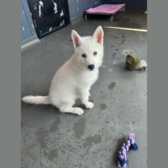 Photo of Maya