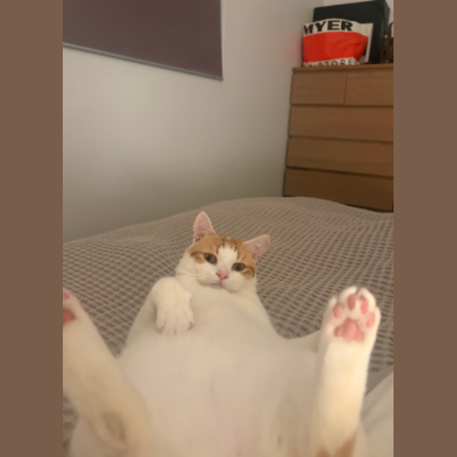 Photo of Clive