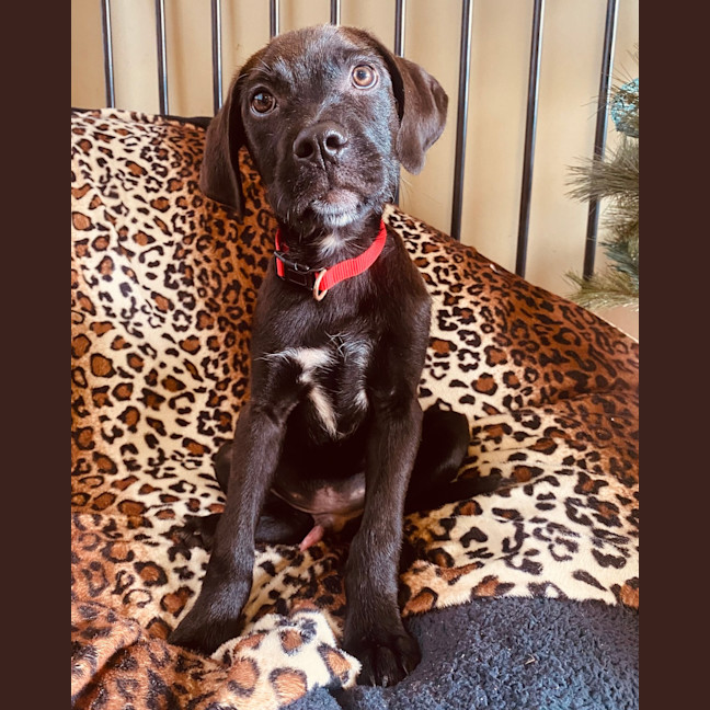 Photo of Theodore