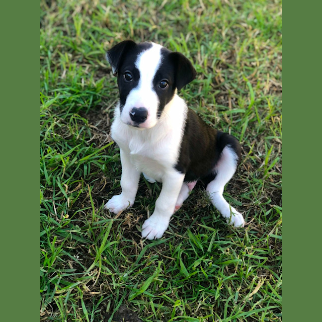 Photo of Rylee