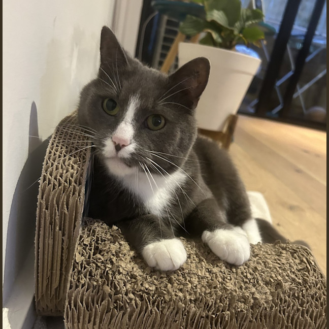 Photo of Bruce