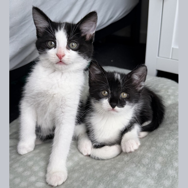 Photo of Moana 🌷🌷🌷