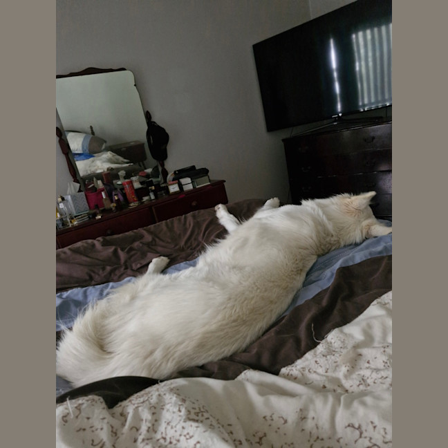 Photo of Brin