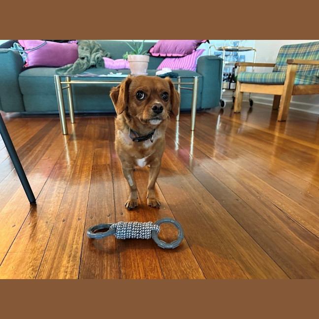 Photo of Toby Quinnell