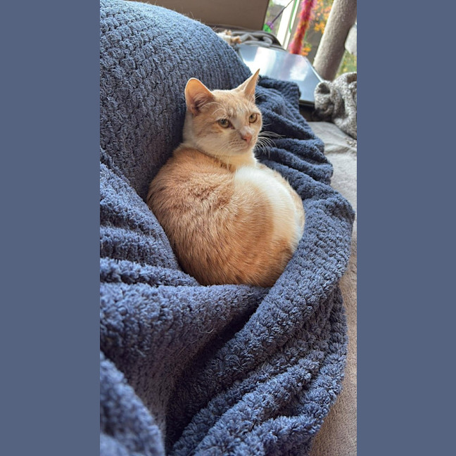 Photo of Barry