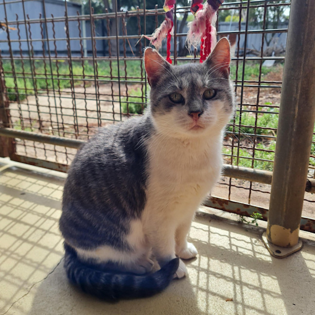 Photo of Gary & Chip   Your Best Friends 