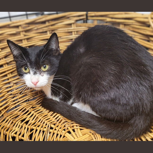 Photo of Harley ❤️