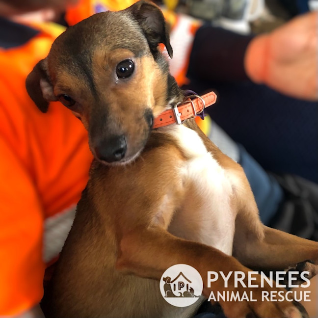 Photo of Bert And Ernie