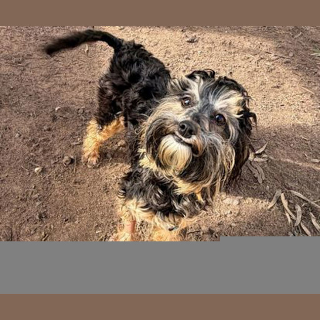 Photo of Cleo