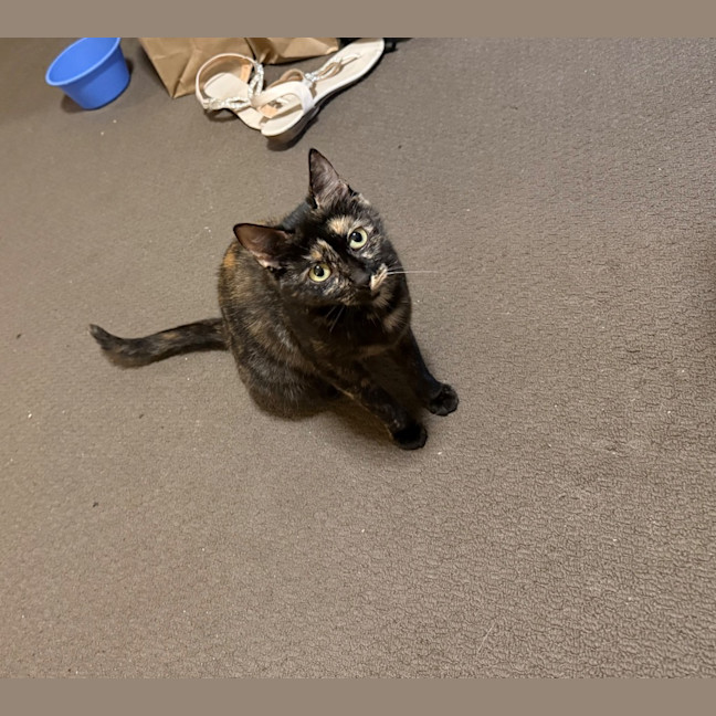 Photo of Mabel Moo